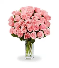 Three Dozen Long Stem Pink Roses