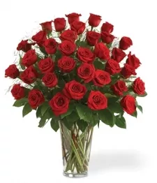 Three Dozen Long Stem Red Roses