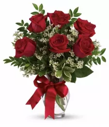 Half Dozen Long Stemmed Red Roses