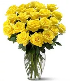 Two Dozen Long Stem Yellow Roses