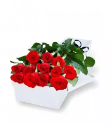 One Dozen Boxed Red Roses