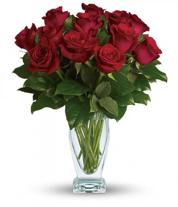 One Dozen Premium Red Roses